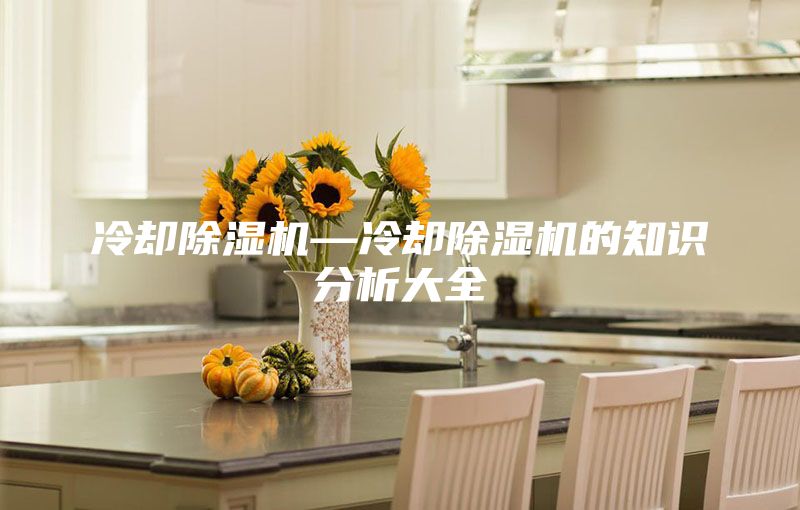 冷却除湿机—冷却除湿机的知识分析大全