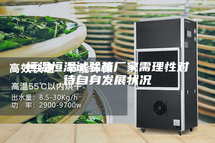 恒温恒湿试验箱厂家需理性对待自身发展状况