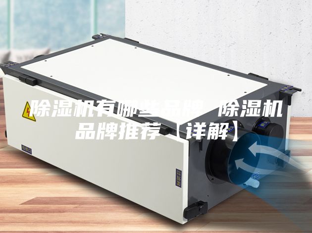 除湿机有哪些品牌 除湿机品牌推荐【详解】
