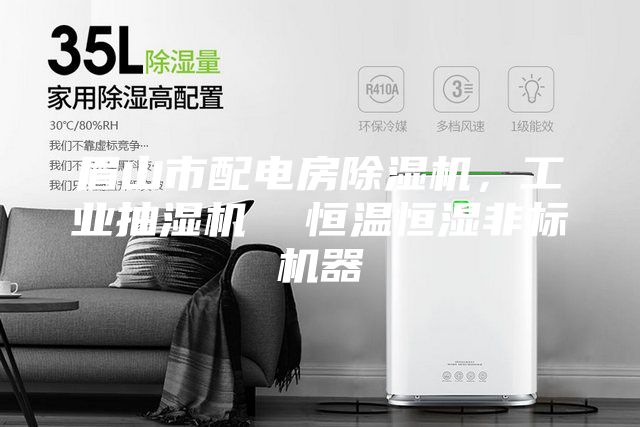 眉山市配电房除湿机，工业抽湿机  恒温恒湿非标机器