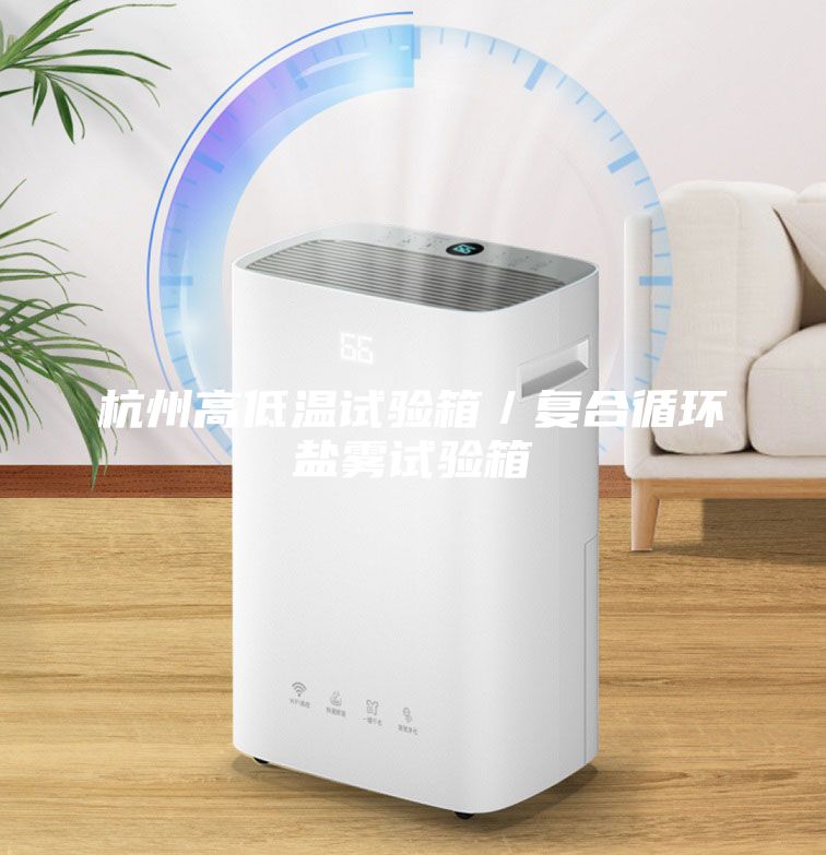 杭州高低温试验箱／复合循环盐雾试验箱