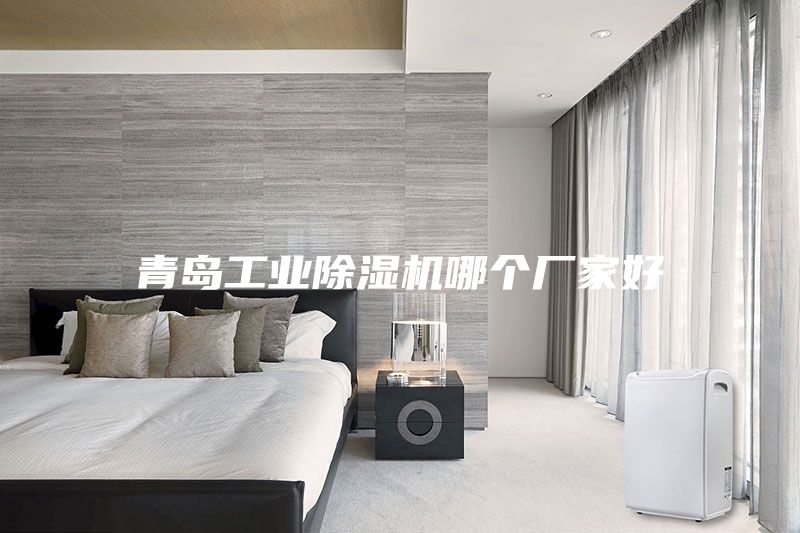 青岛工业除湿机哪个厂家好