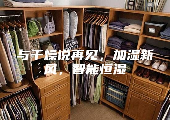 与干燥说再见，加湿新风，智能恒湿