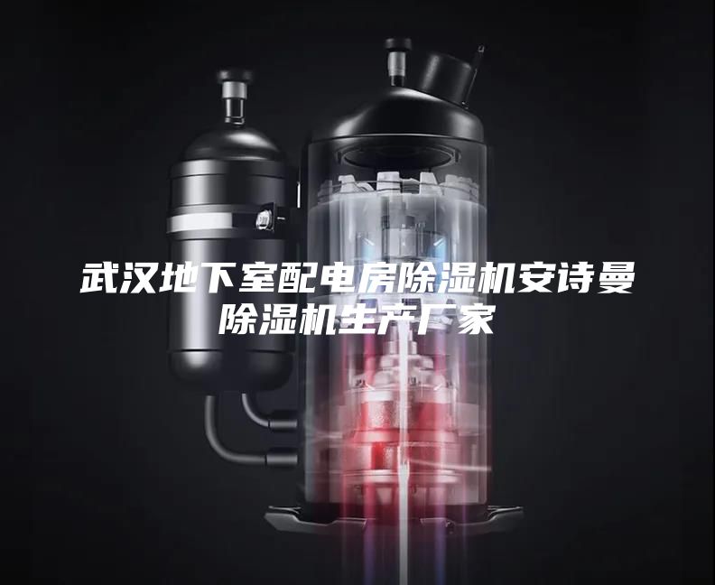 武汉地下室配电房除湿机安诗曼除湿机生产厂家