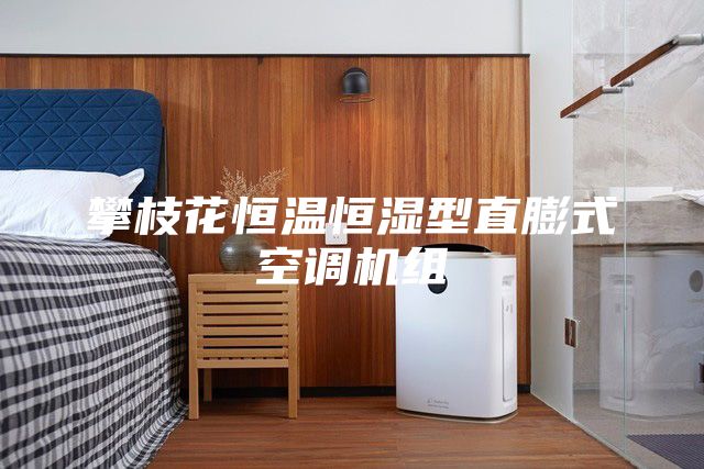 攀枝花恒温恒湿型直膨式空调机组