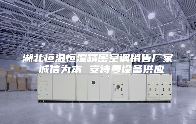 湖北恒温恒湿精密空调销售厂家 诚信为本 安诗曼设备供应