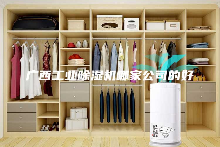 广西工业除湿机哪家公司的好