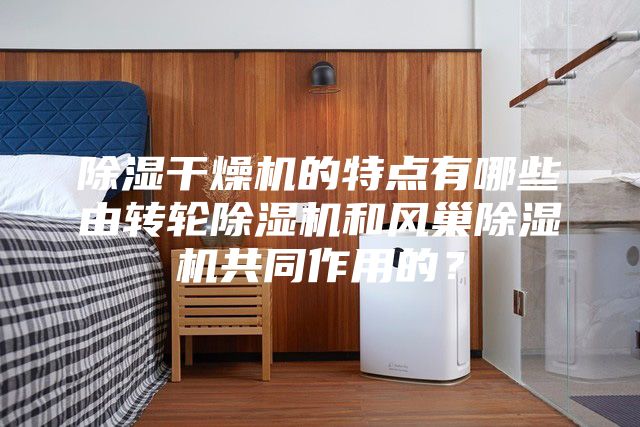 除湿干燥机的特点有哪些由转轮除湿机和风巢除湿机共同作用的？