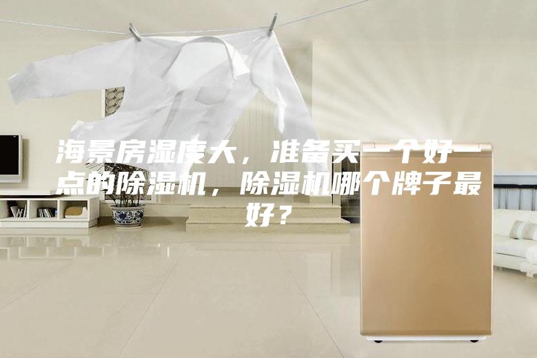 海景房湿度大，准备买一个好一点的除湿机，除湿机哪个牌子最好？