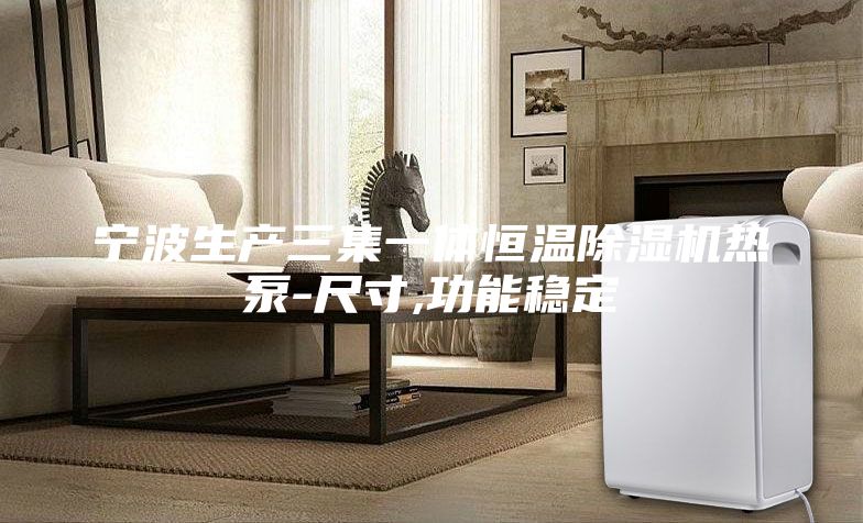 宁波生产三集一体恒温除湿机热泵-尺寸,功能稳定