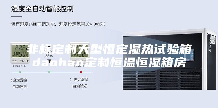 非标定制大型恒定湿热试验箱daohan定制恒温恒湿箱房