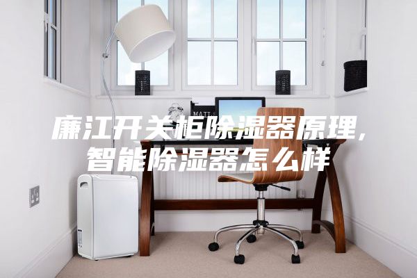 廉江开关柜除湿器原理,智能除湿器怎么样