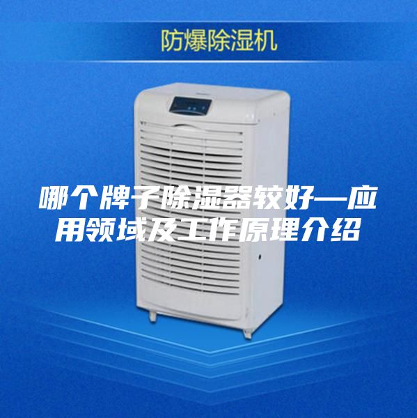 哪个牌子除湿器较好—应用领域及工作原理介绍