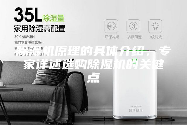 除湿机原理的具体介绍，专家详述选购除湿机的关键点