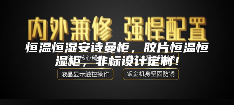 恒温恒湿安诗曼柜，胶片恒温恒湿柜，非标设计定制！