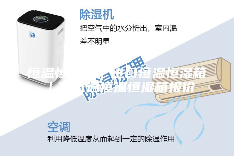 恒温恒湿箱｜进口恒温恒湿箱｜高低温恒温恒湿箱报价