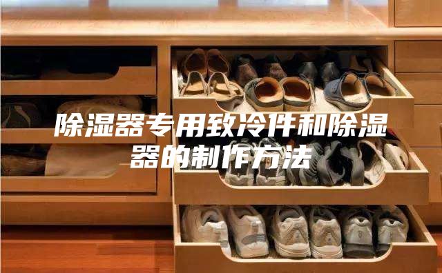 除湿器专用致冷件和除湿器的制作方法