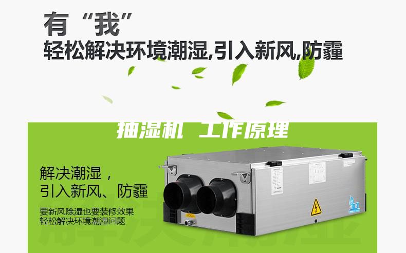抽湿机 工作原理