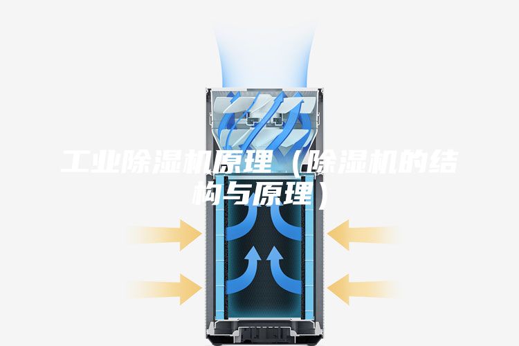 工业除湿机原理（除湿机的结构与原理）