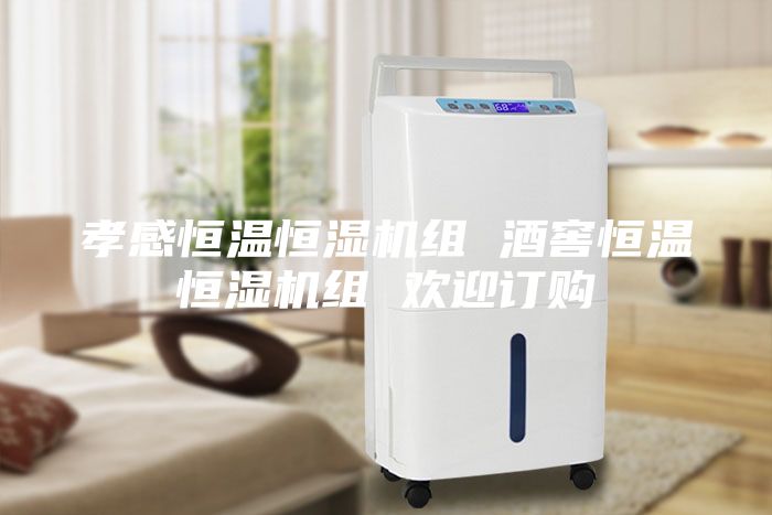 孝感恒温恒湿机组 酒窖恒温恒湿机组 欢迎订购