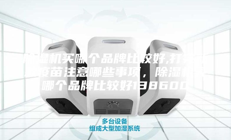 除湿机买哪个品牌比较好,打完新款疫苗注意哪些事项，除湿机买哪个品牌比较好138600
