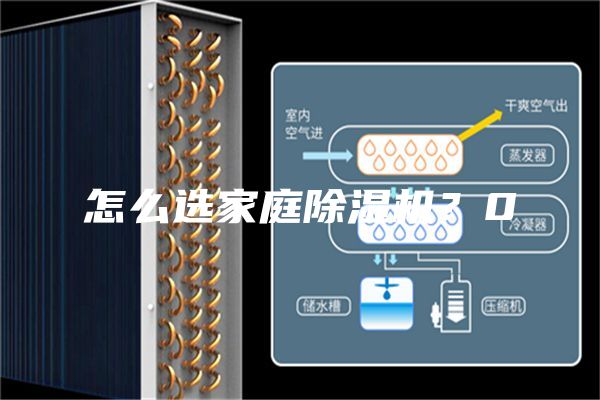 怎么选家庭除湿机？0