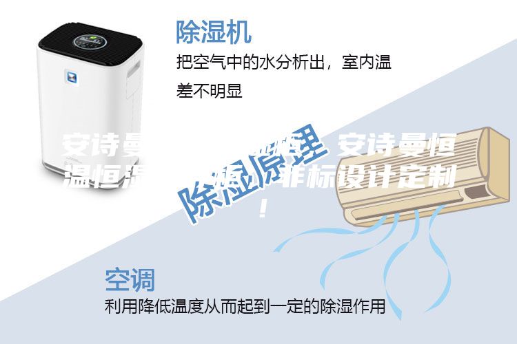 安诗曼恒温恒湿柜，安诗曼恒温恒湿储存柜，非标设计定制！