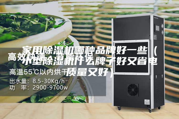 家用除湿机哪种品牌好一些（小型除湿机什么牌子好又省电质量又好）