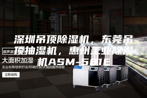 深圳吊顶除湿机，东莞吊顶抽湿机，惠州工业除湿机ASM-581E