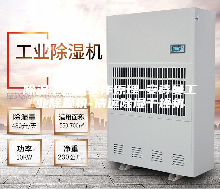 除湿干燥机工作原理-安诗曼工业除湿机-清远除湿干燥机