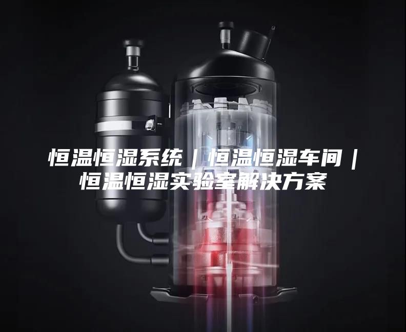 恒温恒湿系统｜恒温恒湿车间｜恒温恒湿实验室解决方案