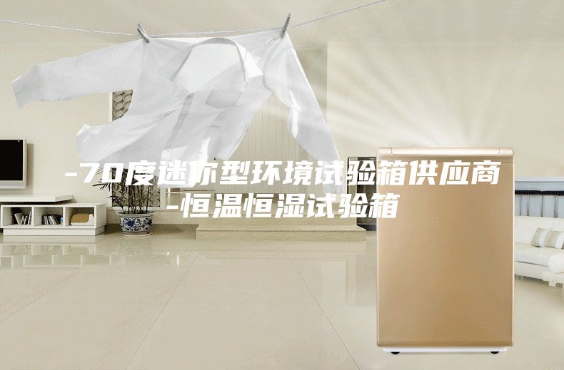 -70度迷你型环境试验箱供应商-恒温恒湿试验箱