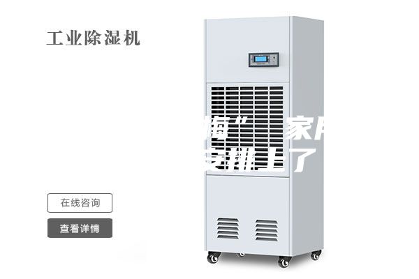 遭遇“暴力梅” 家用除湿机该安排上了