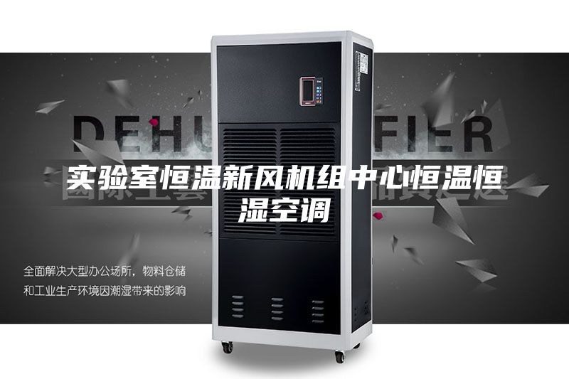 实验室恒温新风机组中心恒温恒湿空调