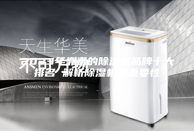 2023年靠谱的除湿机品牌十大排名 解析除湿机的重要性
