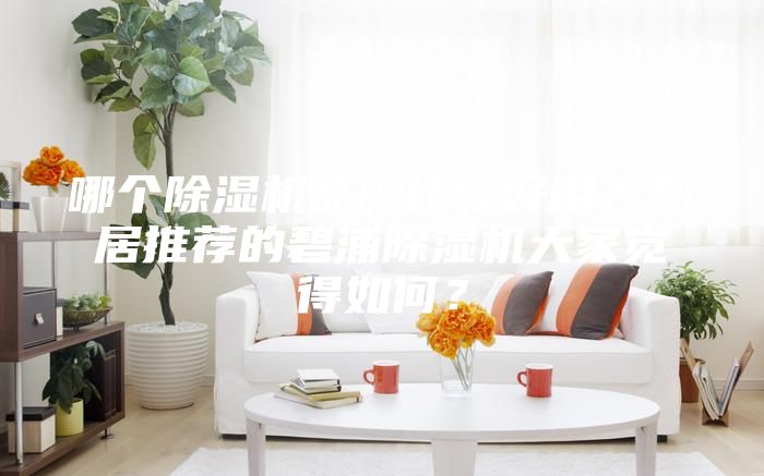 哪个除湿机品牌比较好用？邻居推荐的碧浦除湿机大家觉得如何？