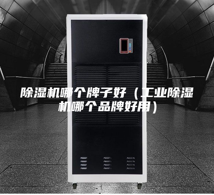 除湿机哪个牌子好（工业除湿机哪个品牌好用）