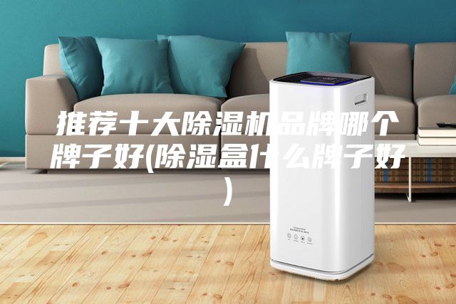 推荐十大除湿机品牌哪个牌子好(除湿盒什么牌子好)