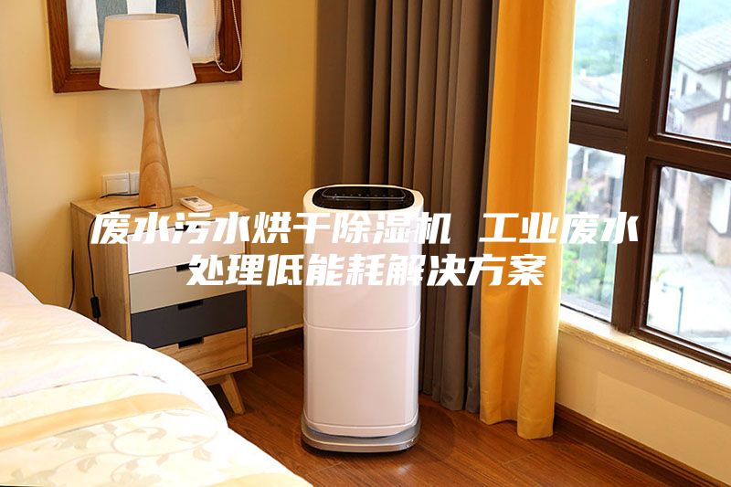 废水污水烘干除湿机 工业废水处理低能耗解决方案
