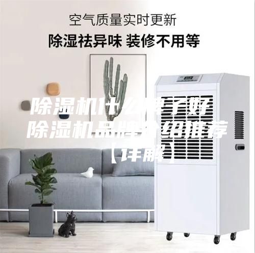 除湿机什么牌子好 除湿机品牌介绍推荐【详解】