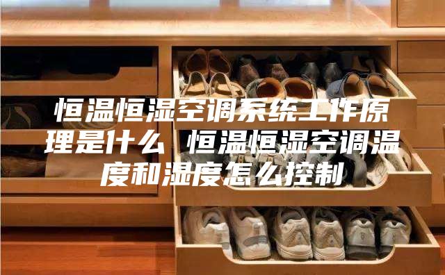 恒温恒湿空调系统工作原理是什么 恒温恒湿空调温度和湿度怎么控制