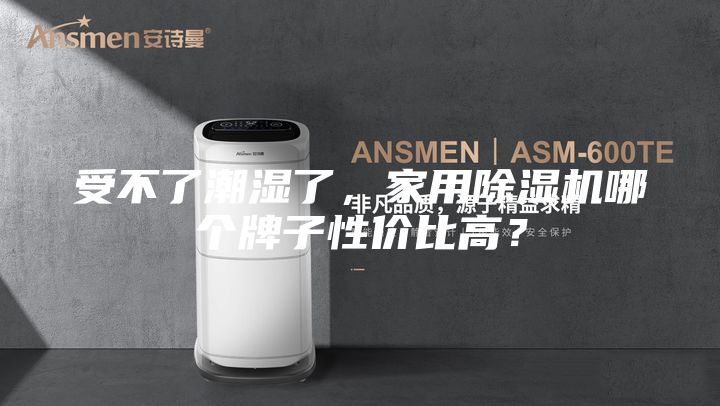 受不了潮湿了，家用除湿机哪个牌子性价比高？