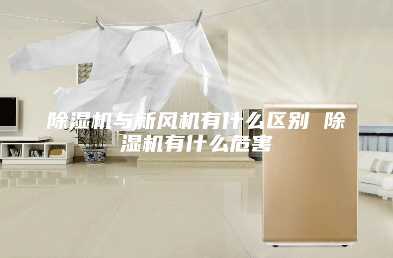 除湿机与新风机有什么区别 除湿机有什么危害