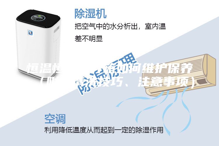 恒温恒湿培养箱如何维护保养（附赠清洗技巧、注意事项）