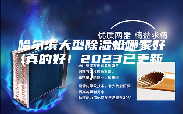 哈尔滨大型除湿机哪家好(真的好！2023已更新)