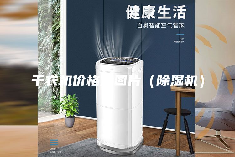 干衣机价格及图片（除湿机）