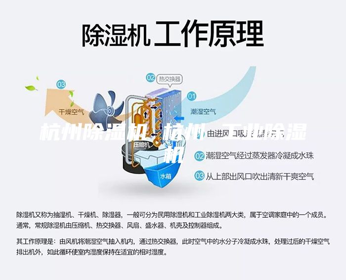 杭州除湿机 杭州 工业除湿机