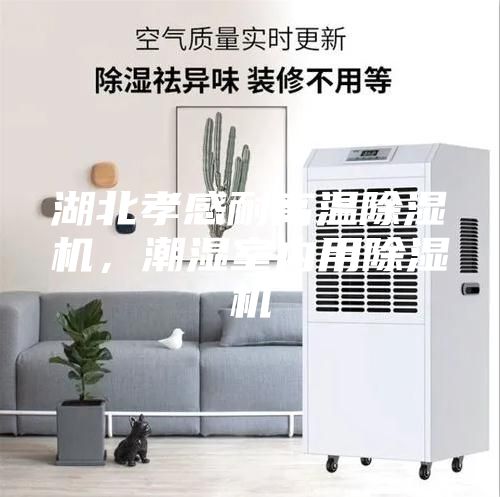 湖北孝感耐高温除湿机，潮湿室内用除湿机