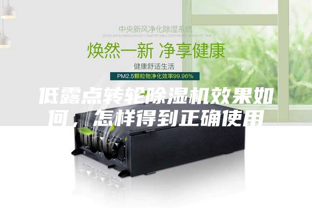 低露点转轮除湿机效果如何，怎样得到正确使用
