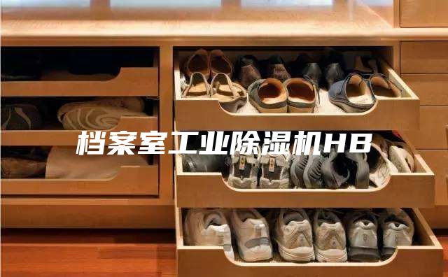 档案室工业除湿机HB